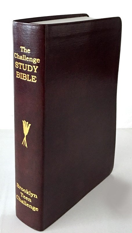 CEV CHALLENGE STUDY BIBLE-FLEXI COVER (NEW)