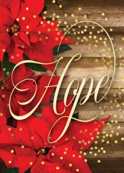 Card-Boxed-Hope Is Born Anew Solid Pack (Romans 13:14 KJV) (Box Of 12)