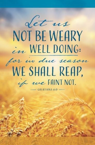 Bulletin-Let Us Not Be Weary In Well Doing (Galatians 6:9 KJV) (Pack Of 100)