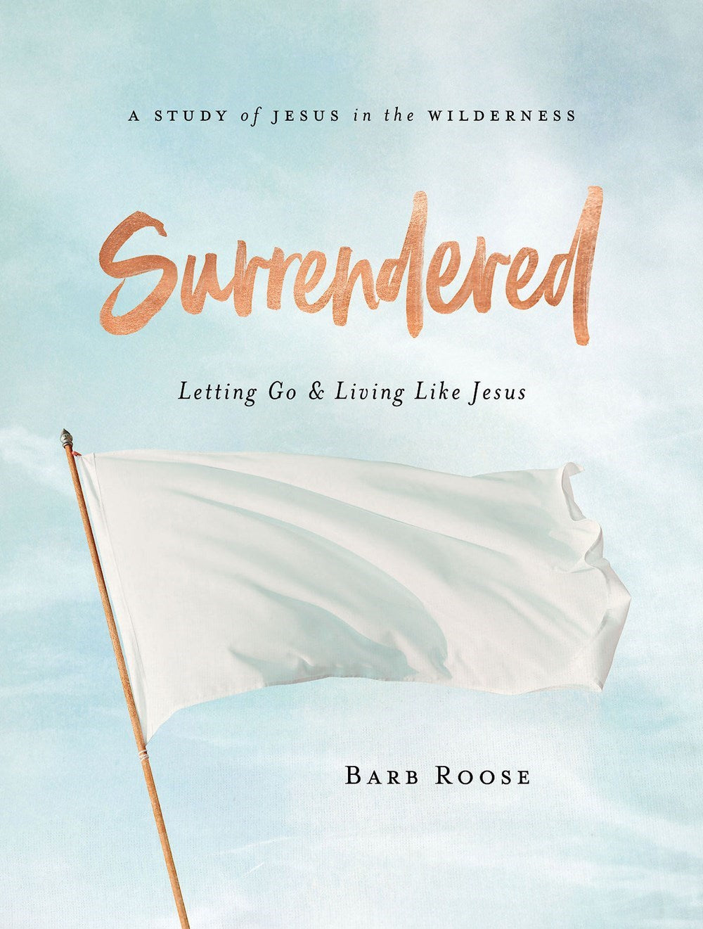 Surrendered: Women's Bible Study Participant Workbook