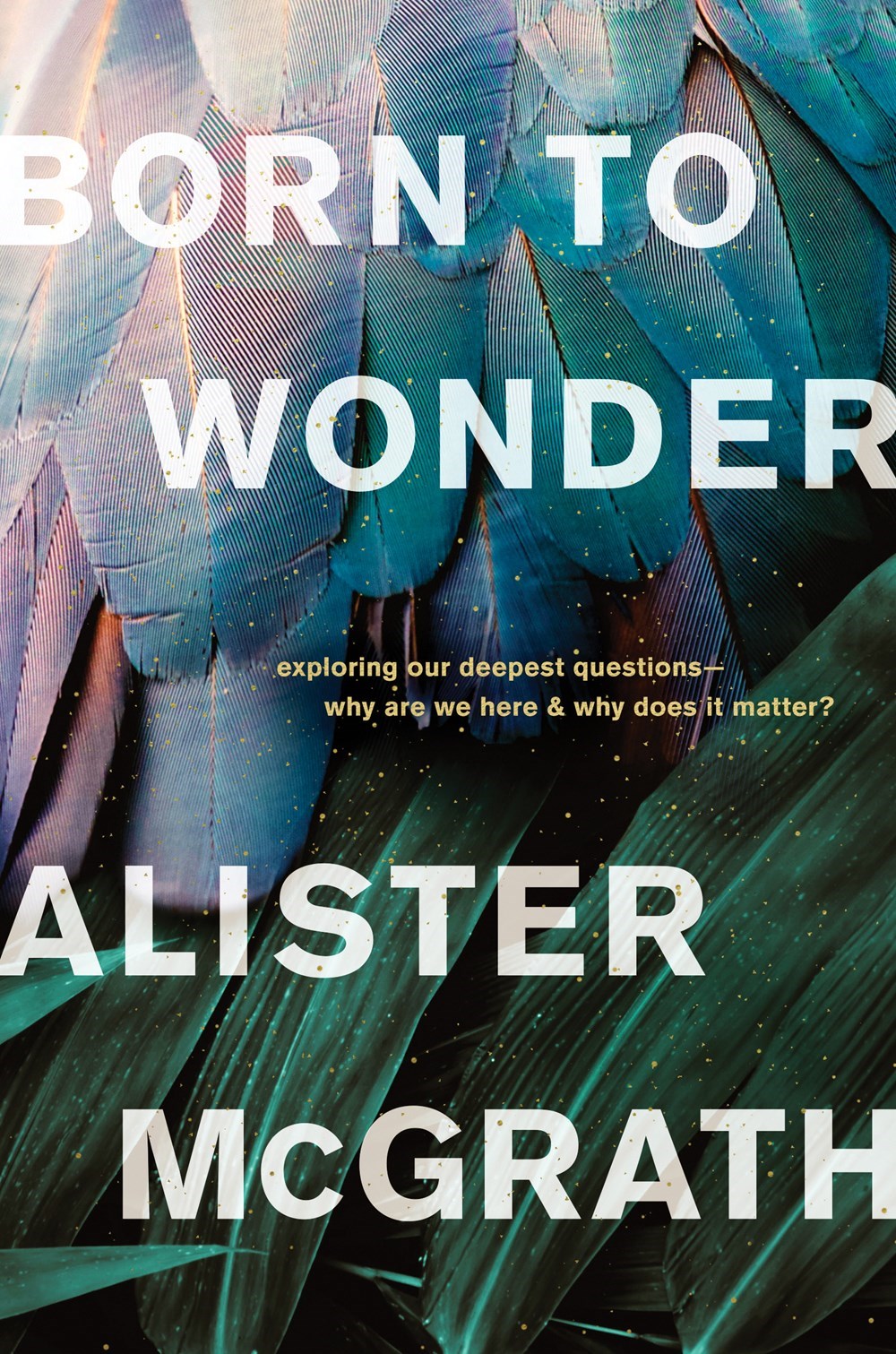 Born To Wonder