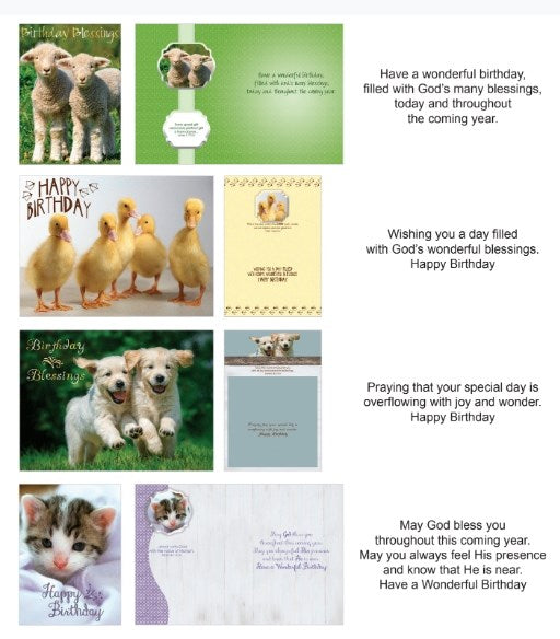Boxed Card-Birthday Fur And Feathers (Shared Blessings) (Box Of 12)