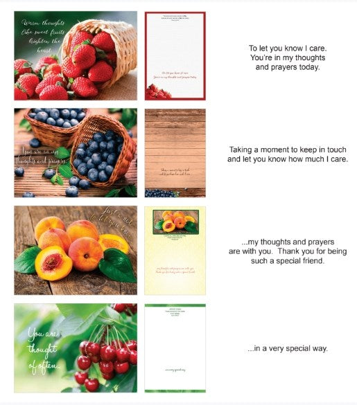 Card-Boxed-Shared Blessings-Thinking Of You Fruitful Blessings (Box Of 12)