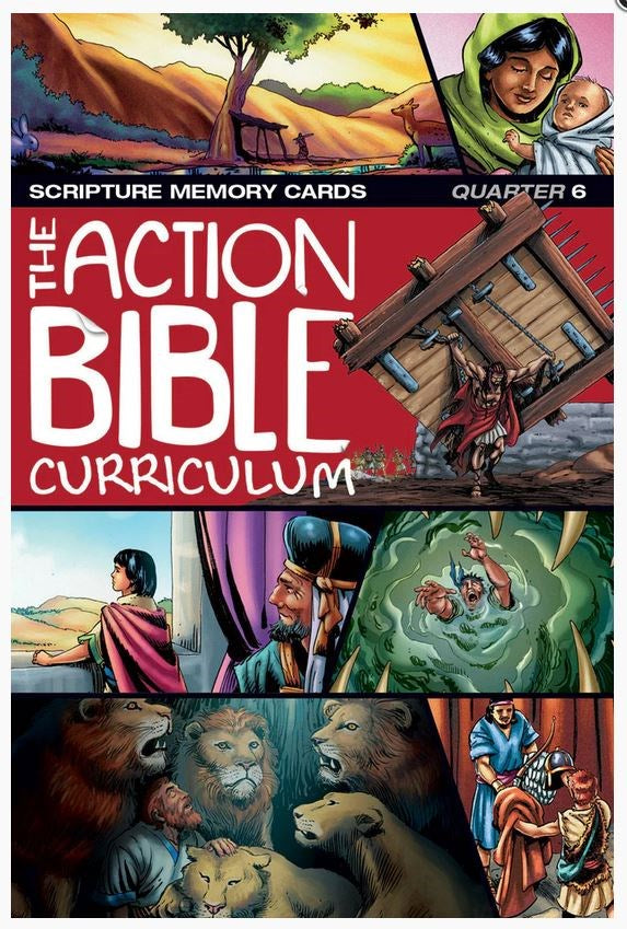 NIV The Action Bible Scripture Memory Cards Q6(#148484)