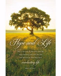 Bulletin-Hope And Life/This Is The Will Of Him Who Sent Me (John 6:40 NKJV) (Pack Of 100)
