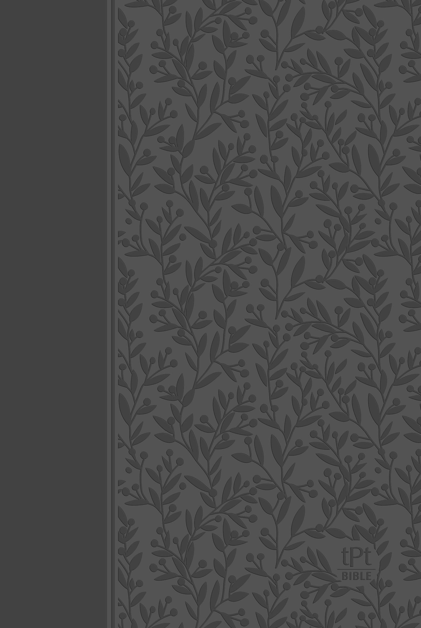 The Passion Translation New Testament w/Psalms Proverbs & Song Of Songs (2020 Edition)-Gray Imitation Leather