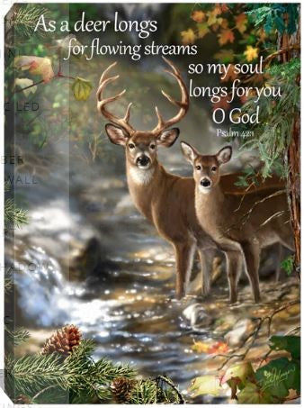 Frameless Canvas-Deer Creek/As The Deer Pants For Water... (Psalm 42:1) (w/Scripture (10 x 14)