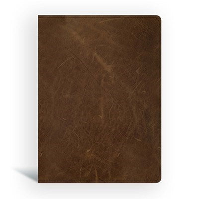 CSB Men Of Character Bible-Brown Genuine Leather Indexed