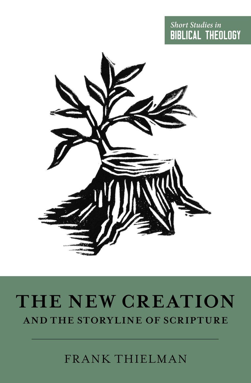 The New Creation And The Storyline Of Scripture (Short Studies In Biblical Theology)