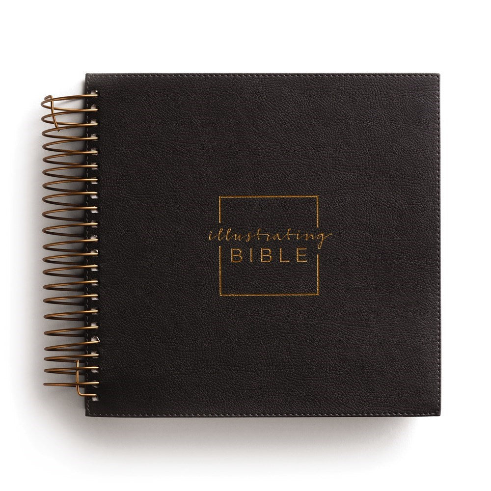 NIV Illustrating Bible-Dark Gray Faux Leather