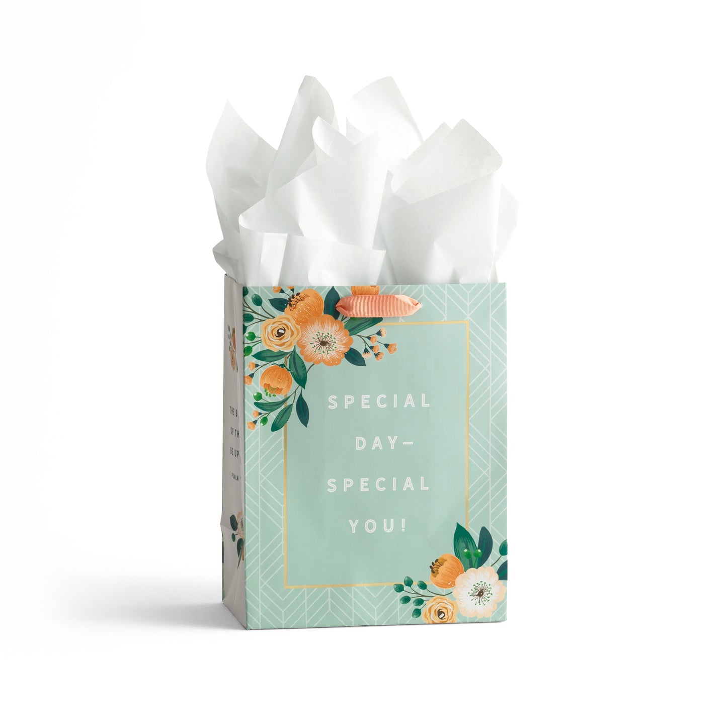 Gift Bag-Specialty-Special Day & You-Psalm 129:8-Medium