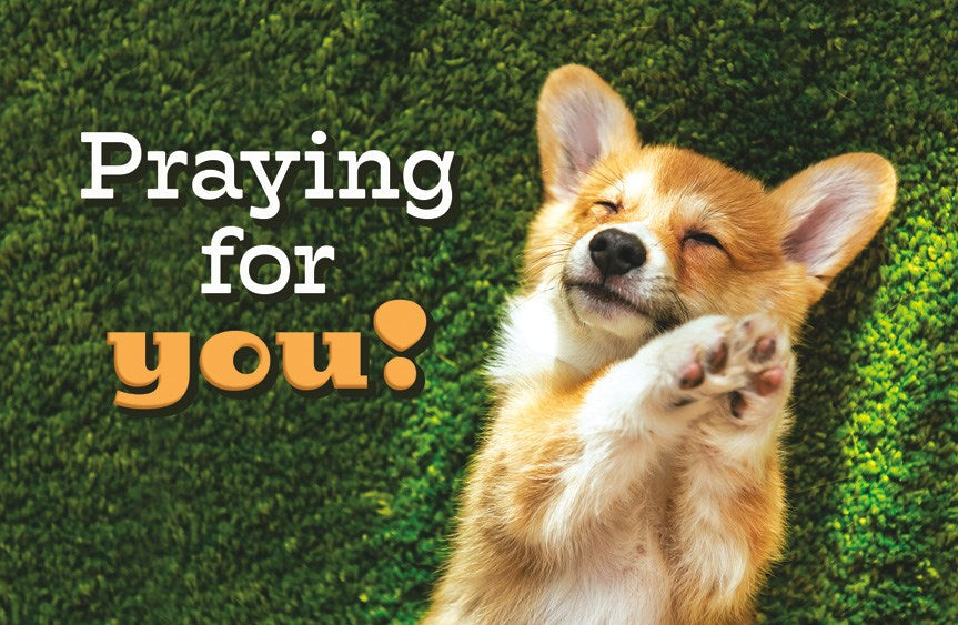 Postcard-We Are Praying For You (Philemon 1:4 NIV) (Pack Of 25)