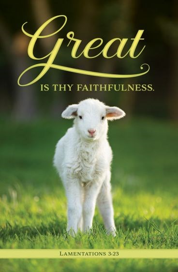 Bulletin-Great Is Thy Faithfulness (Lamentations 3:23 KJV) (Pack Of 100)