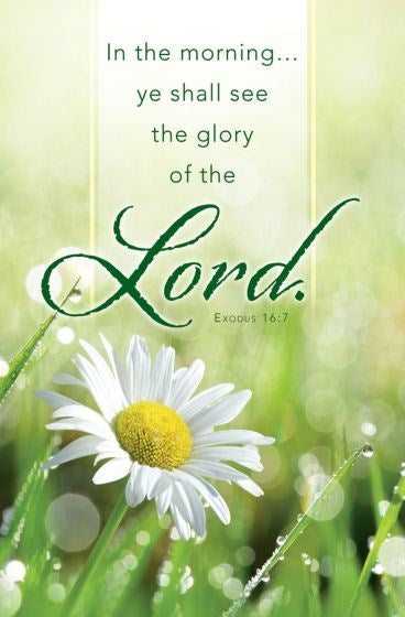 Bulletin-In The Morning Ye Shall See The Glory Of The Lord (Exodus 16:7 KJV) (Pack Of 100)