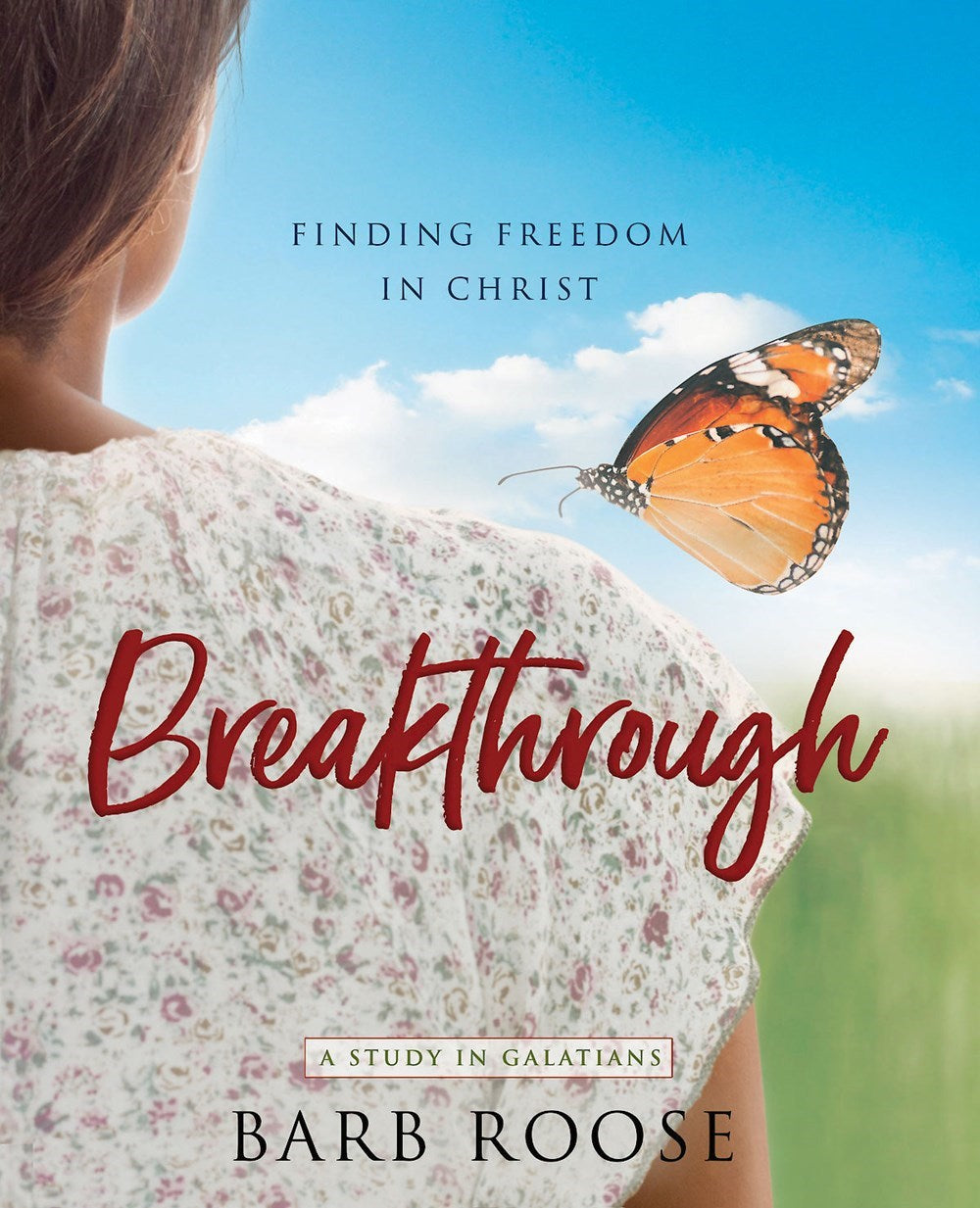 Breakthrough: Women's Bible Study Participant Workbook