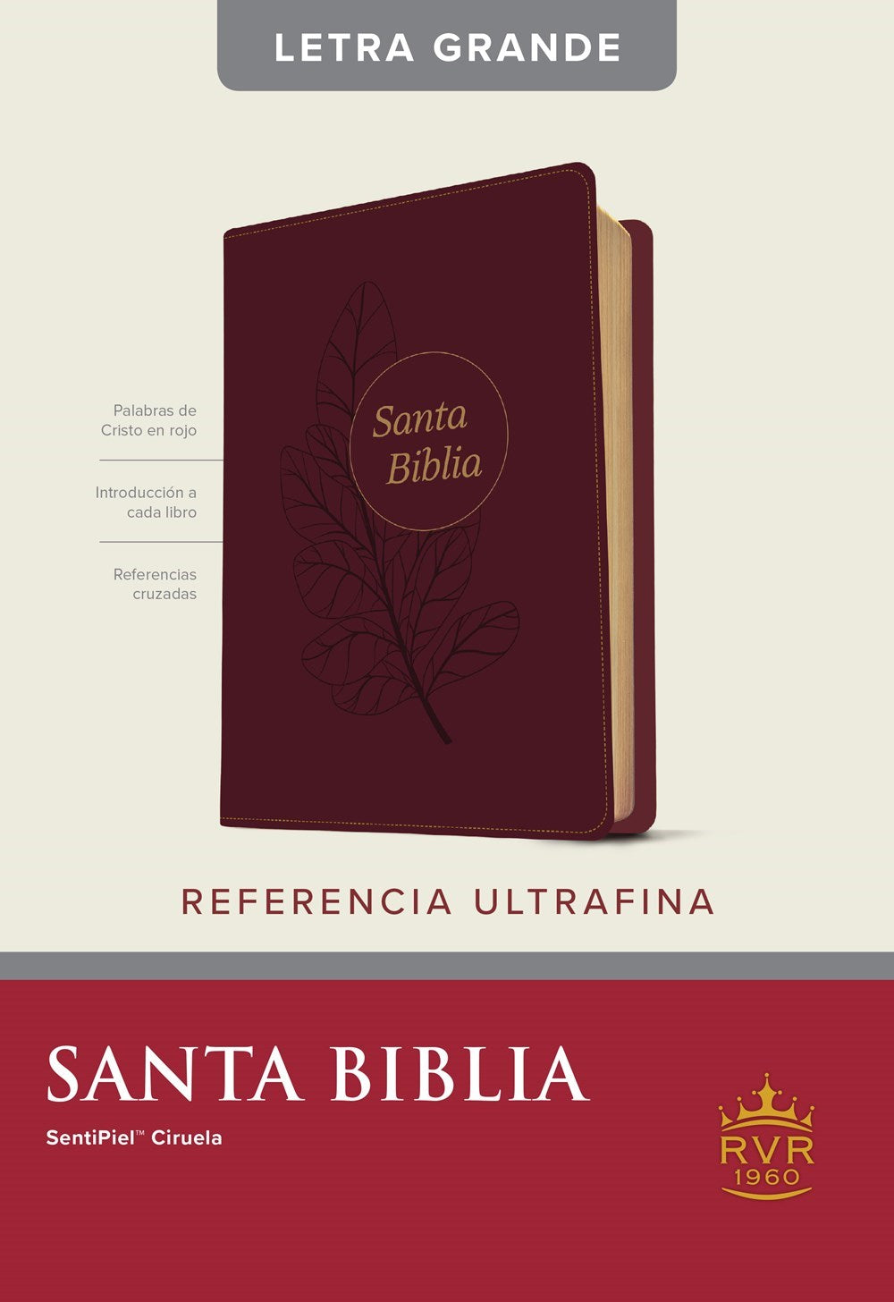 RVR 1960 Edicion de Referencia Ultrafina Letra Grande (Slimline Reference Edition/Large Print)-Plum LeatherLike