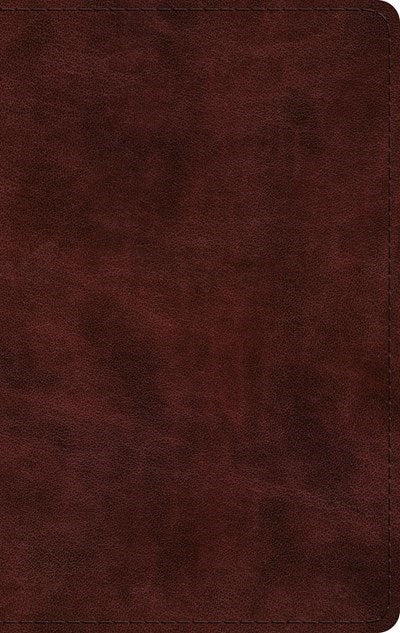 ESV Large Print Thinline Bible-Mahogany TruTone