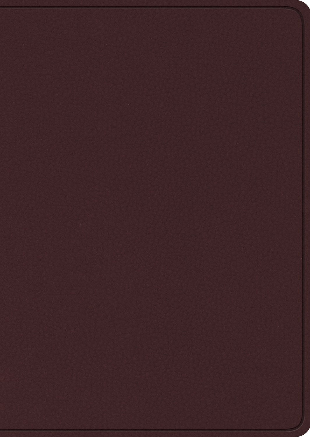ESV Study Bible/Large Print-Burgundy Bonded Leather