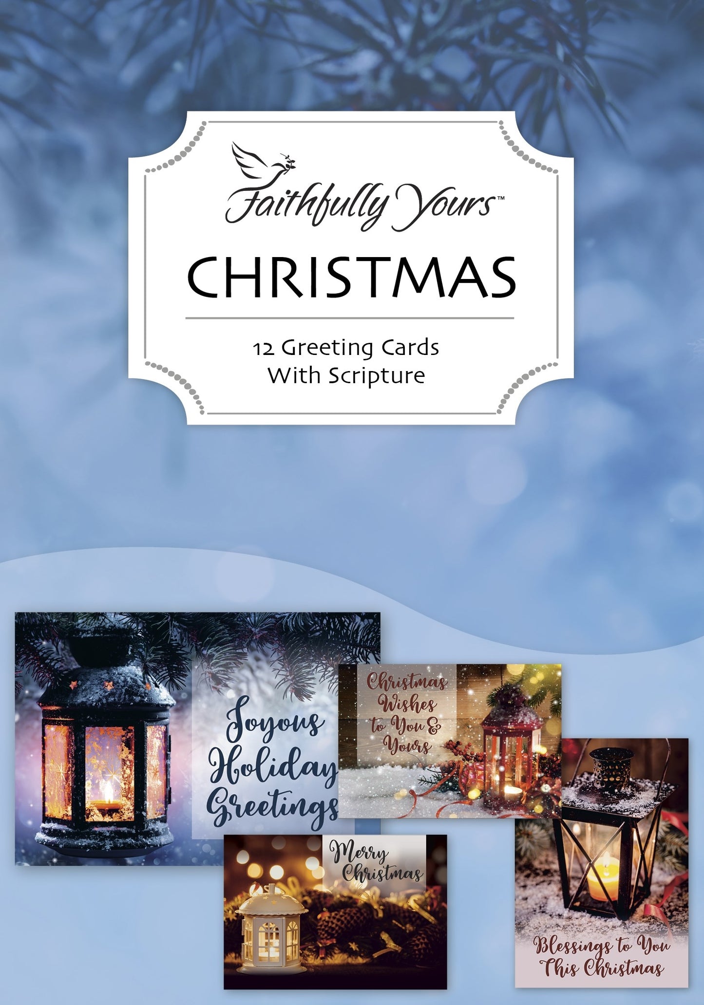 Boxed Card-Value-Comfort And Joy-Christmas Assorted (Box Of 12)