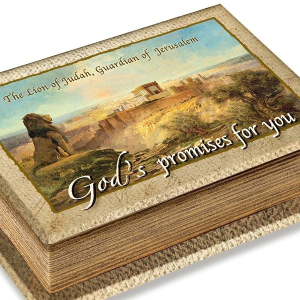 Promise Box-Gods Promises For You w/120 Cards In Painted Canvas Cloth Box (#8239)