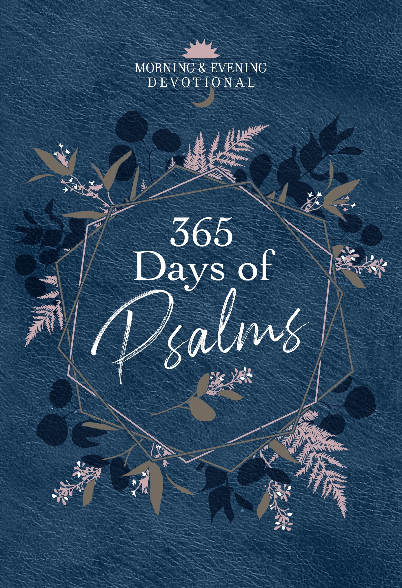 365 Days Of Psalms