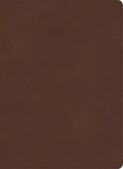 KJV Single-Column Wide-Margin Bible-Brown LeatherTouch