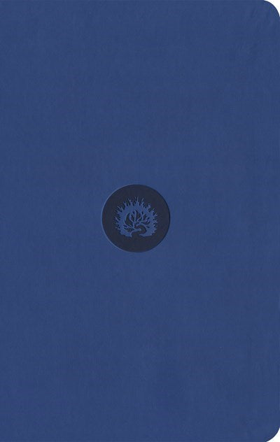 ESV Reformation Study Bible: Student Edition-Blue Leather-Like