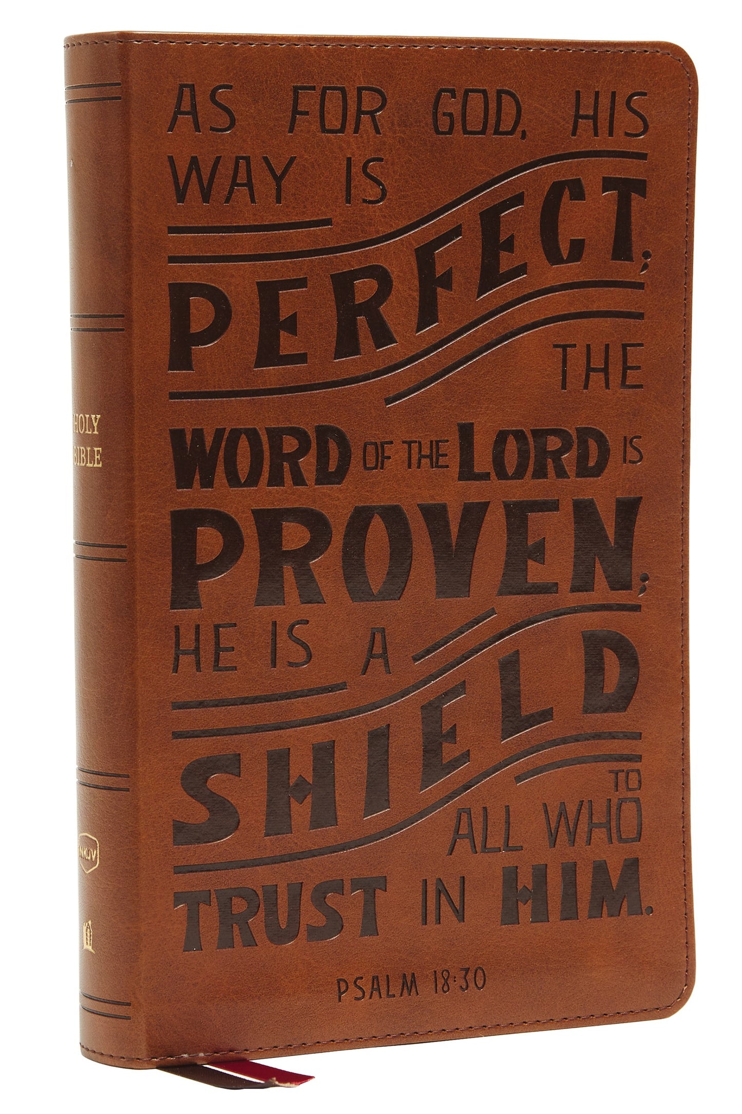 NKJV Personal Size Reference Bible Verse Art Cover Collection (Comfort Print)-Tan Leathersoft