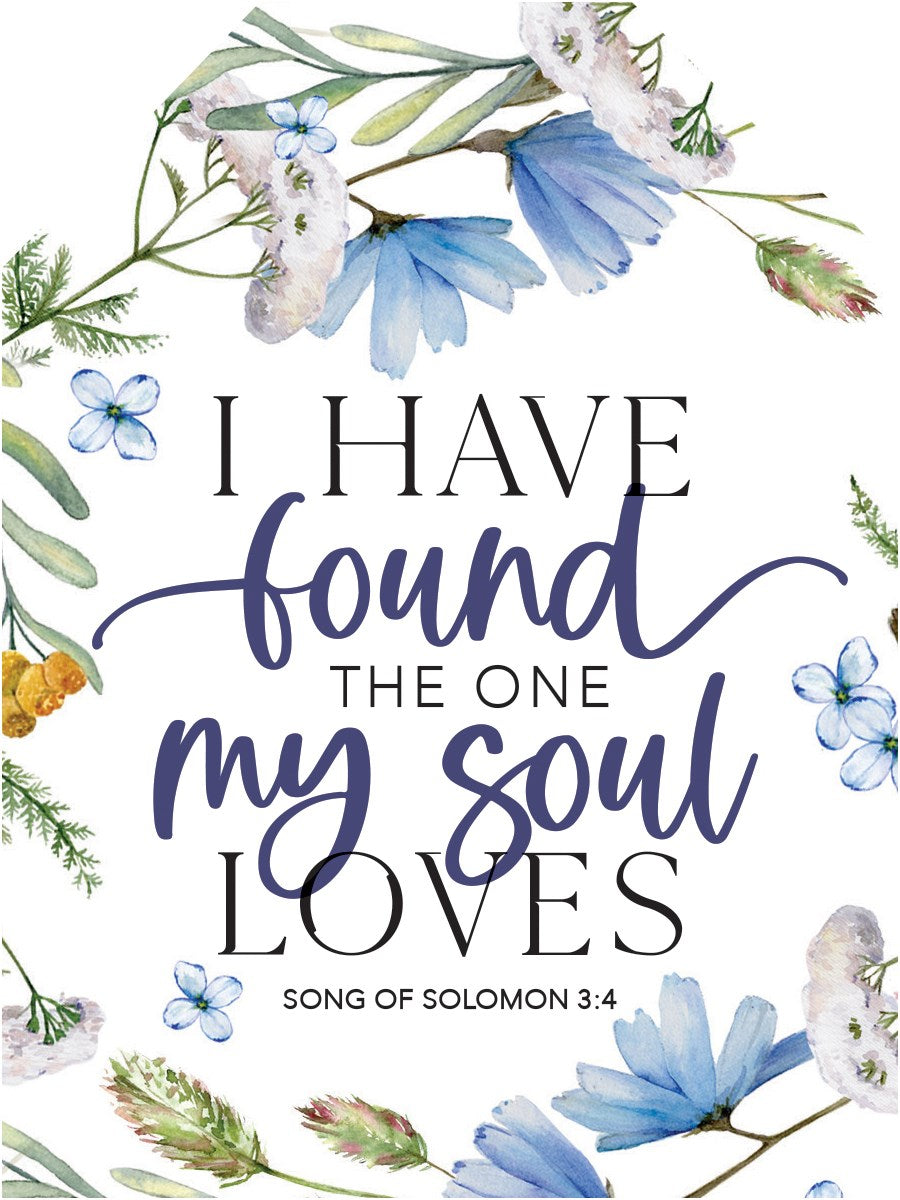 Magnet-Tagnetic-I Have Found