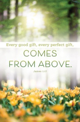Bulletin-Every Good Gift Every Perfect Gift Comes From Above (James 1:17 CEB) (Pack Of 100