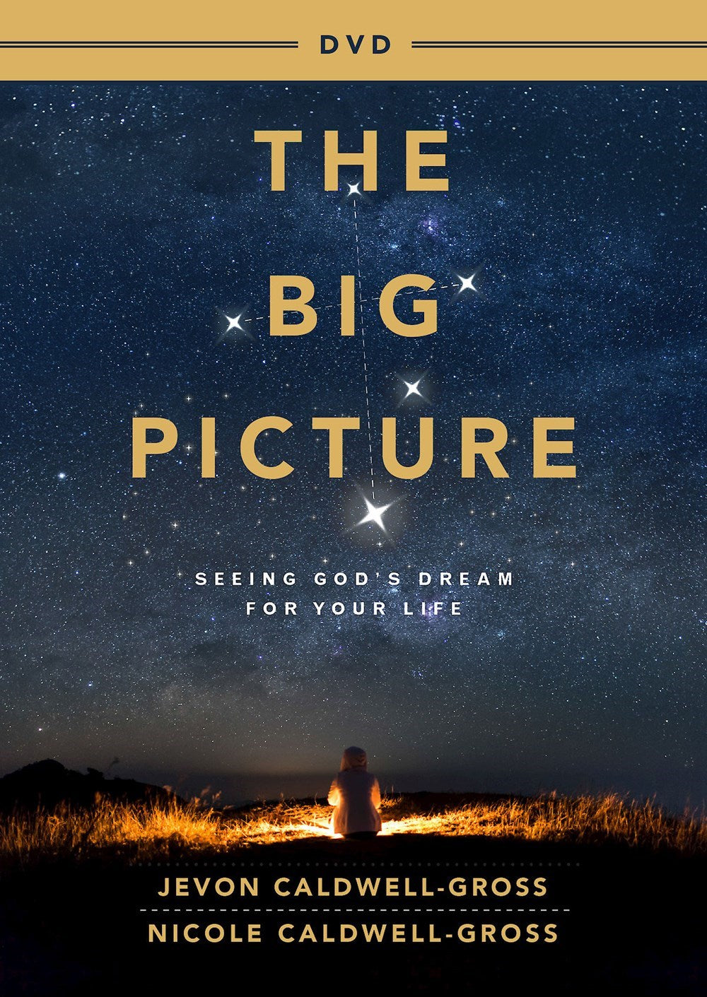 DVD-The Big Picture Video Content