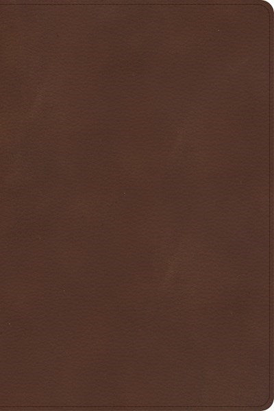 CSB Rainbow Study Bible-Brown LeatherTouch Indexed