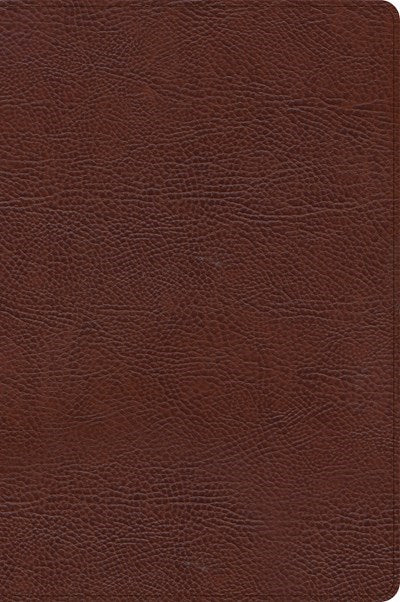 CSB Large Print Thinline Bible-Brown Bonded Leather