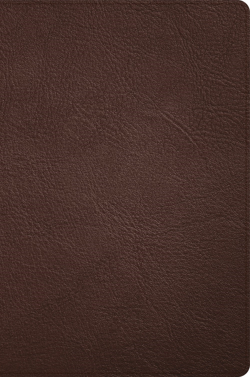 CSB Large Print Thinline Bible (Holman Handcrafted Collection)-Brown Premium Goatskin