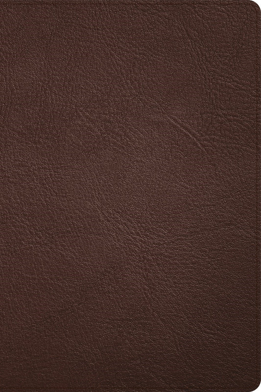 CSB Large Print Thinline Bible (Holman Handcrafted Collection)-Brown Premium Goatskin
