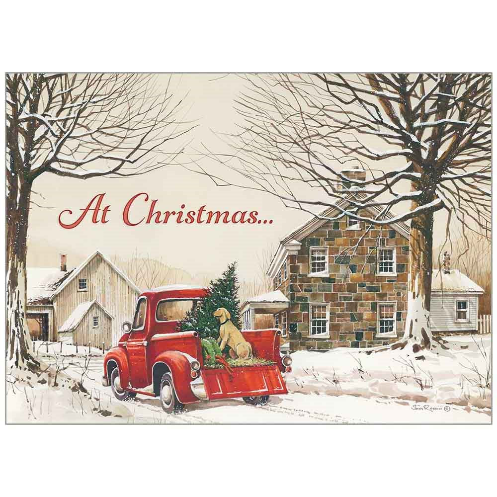 Card-Boxed-Bringing Home the Tree (2 Peter 1:2 NIV) (Box Of 20)