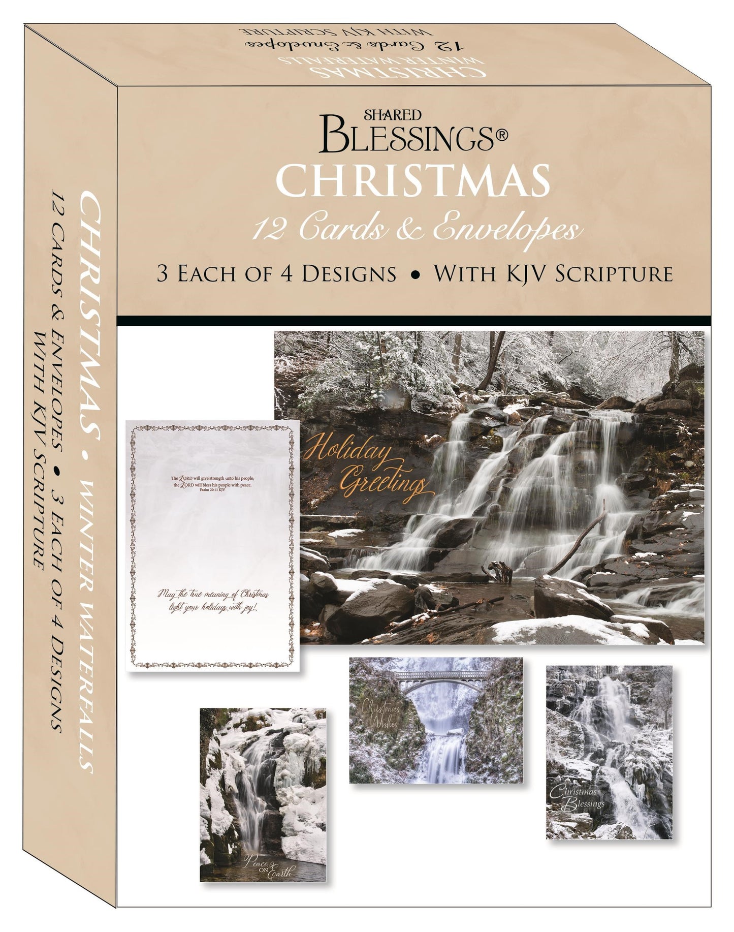 Card-Boxed-Shared Blessings-Christmas-Assorted/Winter Waterfalls (Box Of 12)