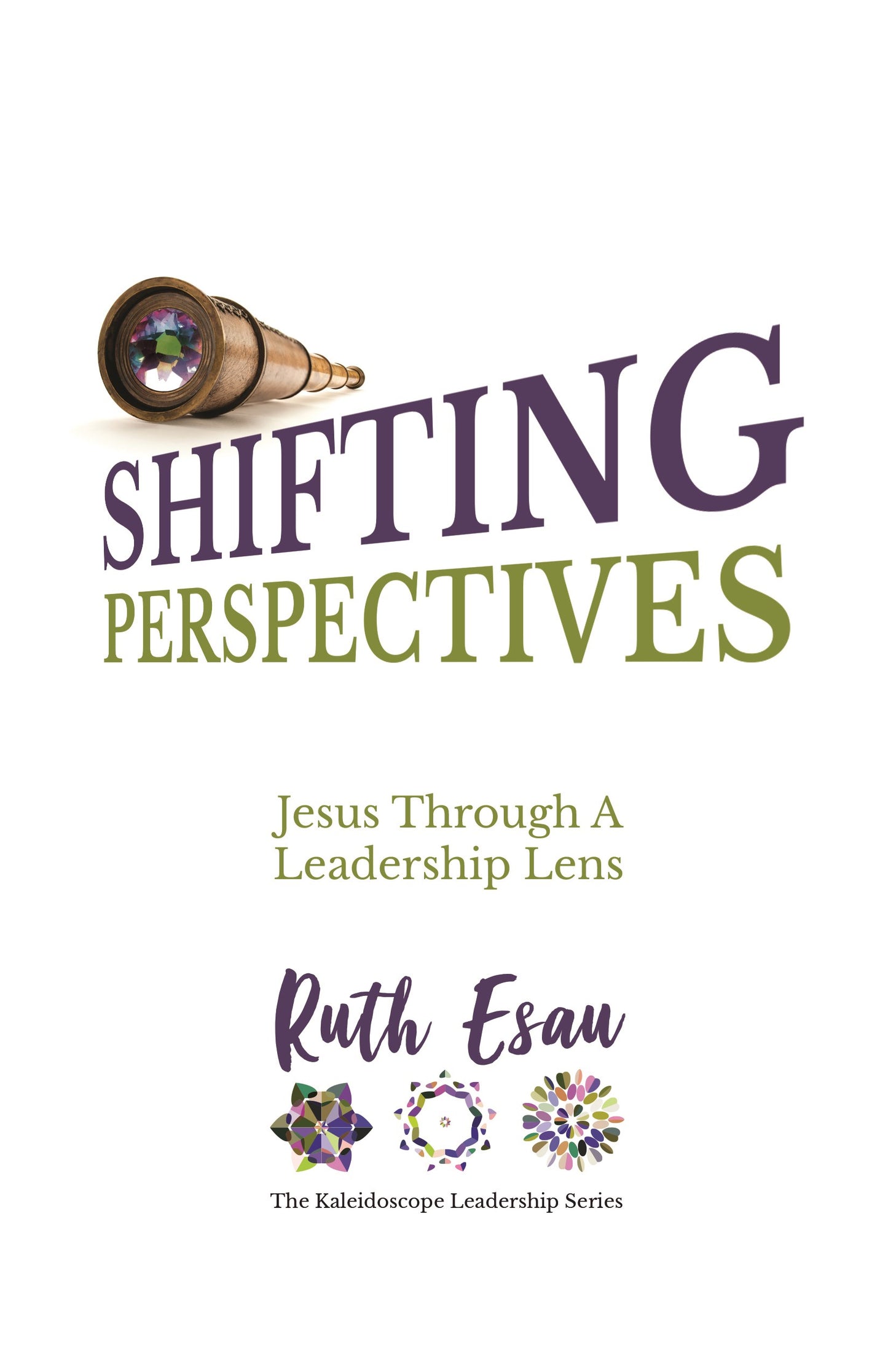 Shifting Perspectives - Hardcover