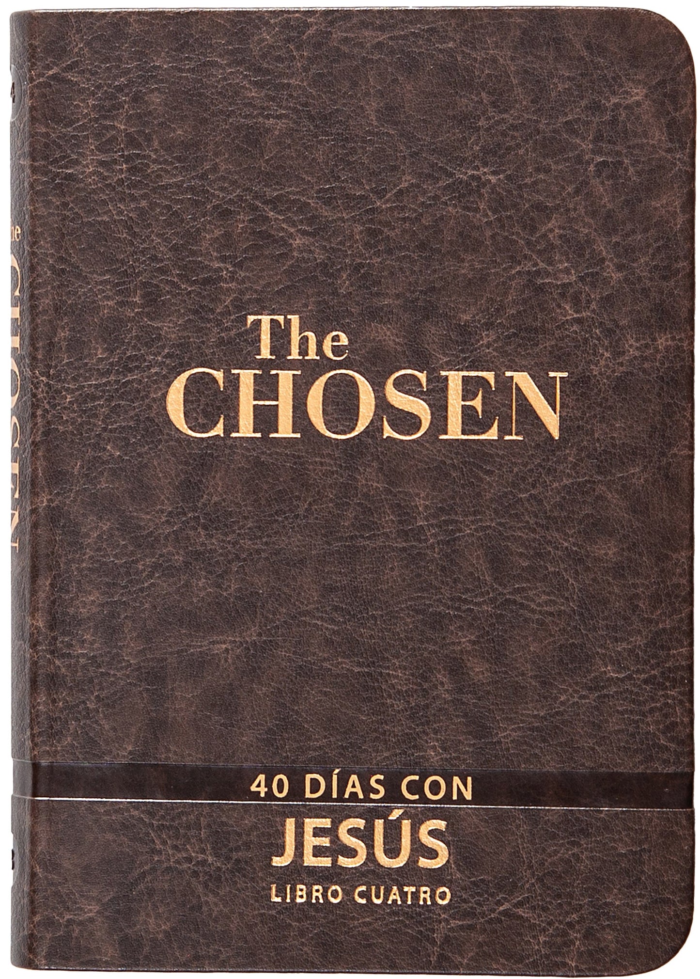 Los Elegidos: Libro Cuatro (The Chosen: Book Four)