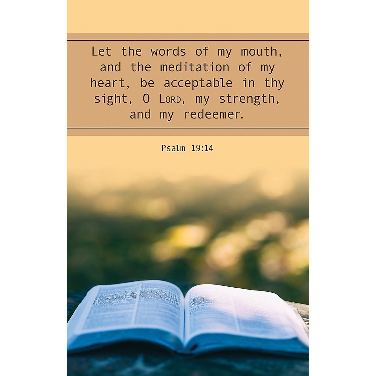 Bulletin-Let The Words Of My Mouth (Psalm 19:14 KJV) (Pack Of 100)