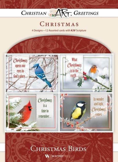 Boxed Card-Christmas Birds Assorted (4 Designs) (KJV) (Box Of 12)