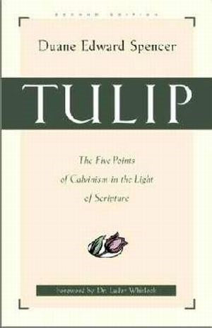 Tulip