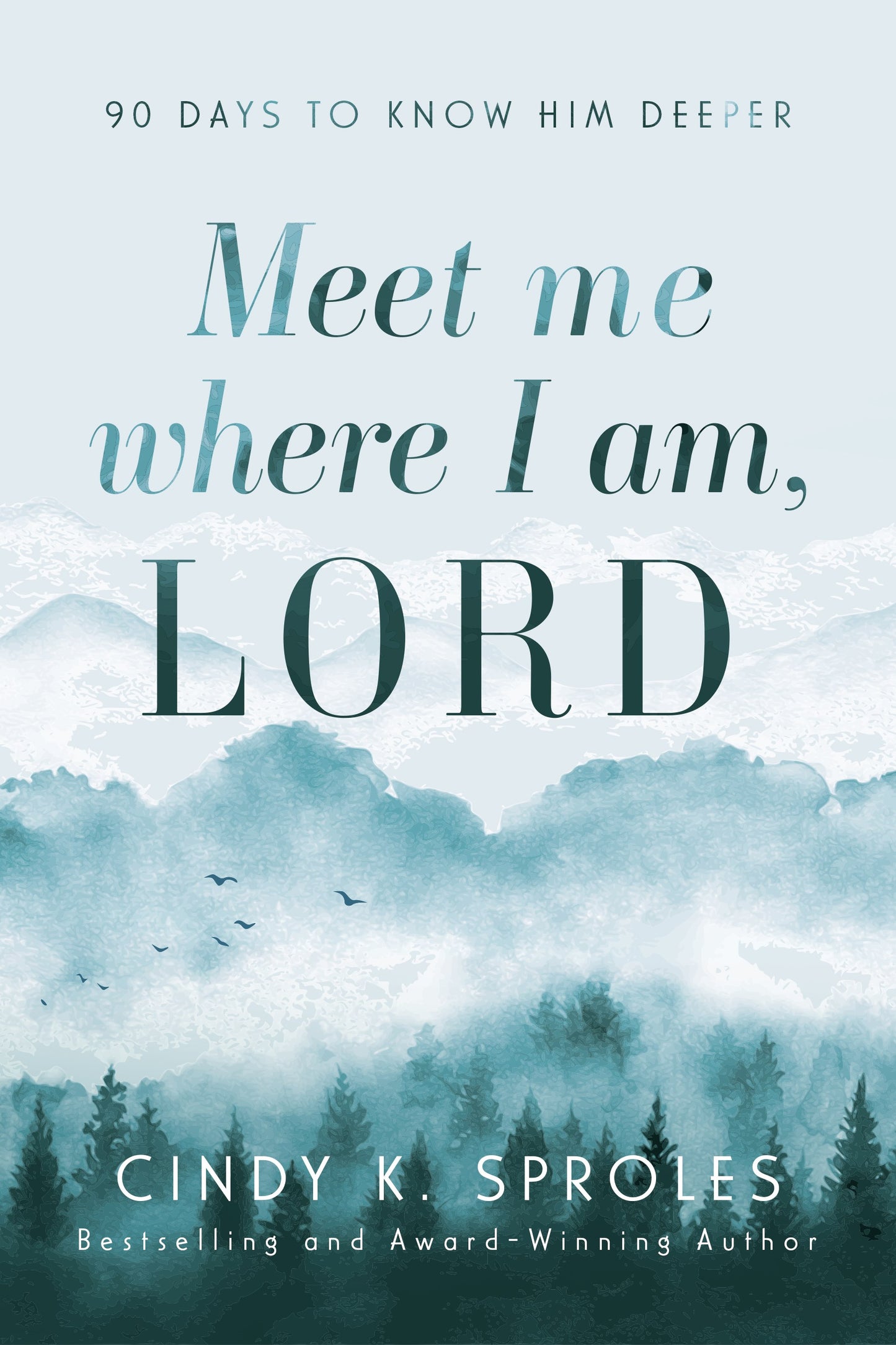 Meet Me Where I Am Lord