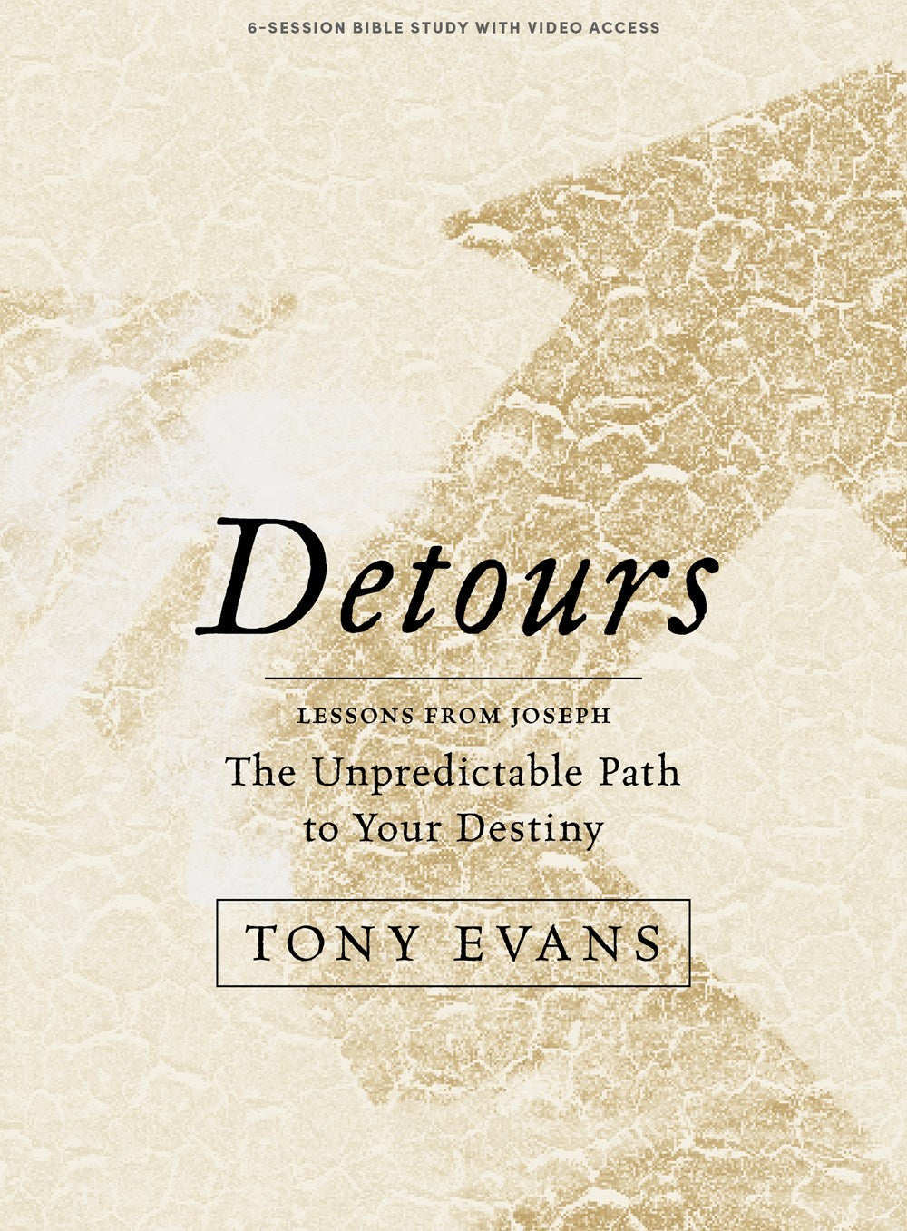 Detours Bible Study Book with Video Access
