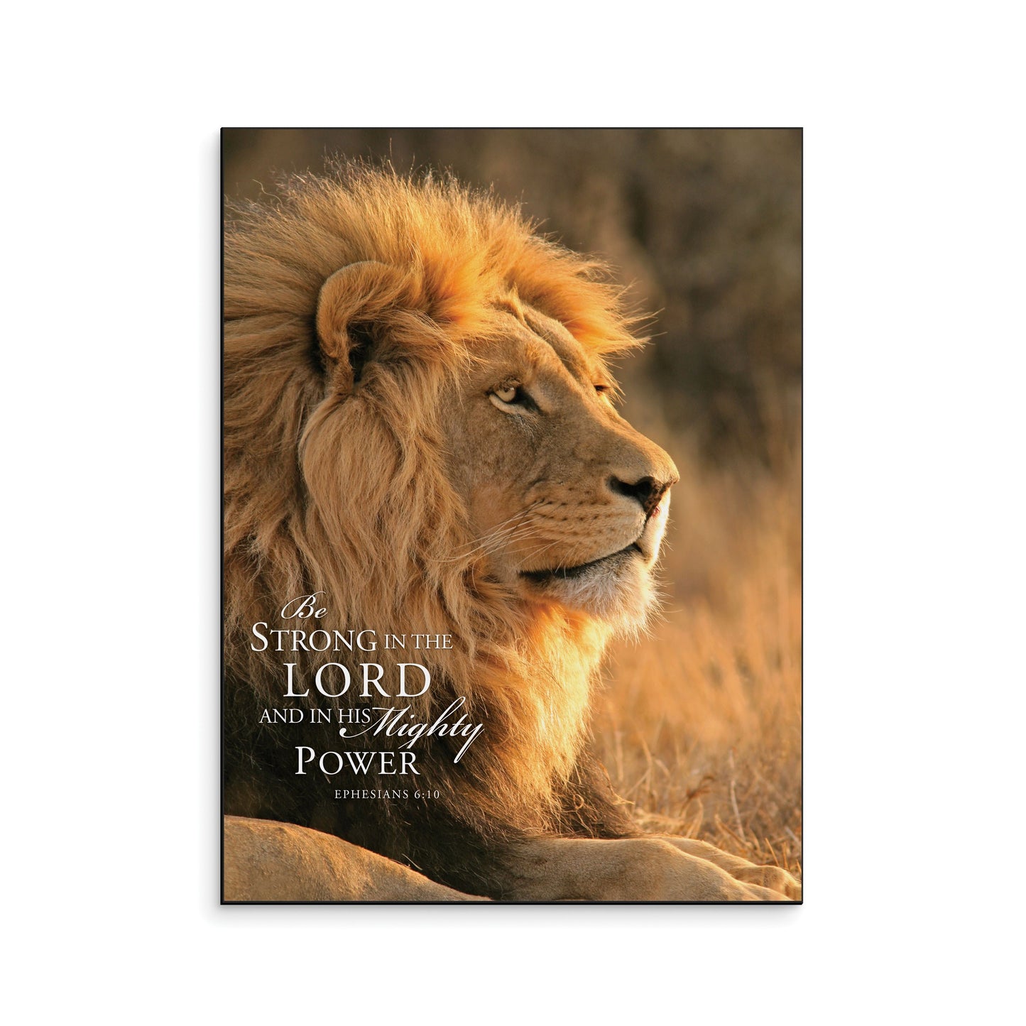Wall Art Prints-Be Strong In The Lord-Lion (16" x 12")