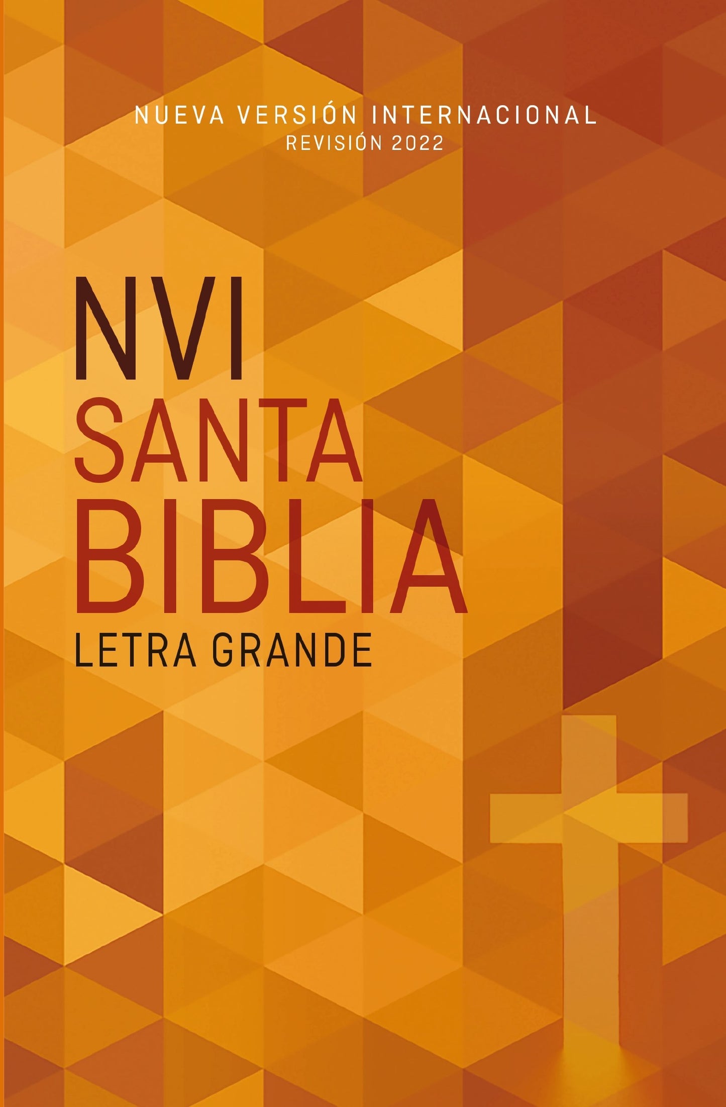 NVI Economy Large Print Bible (Santa Biblia Edicion Economica Letra Grande Texto Revisado 2022)-Softcover