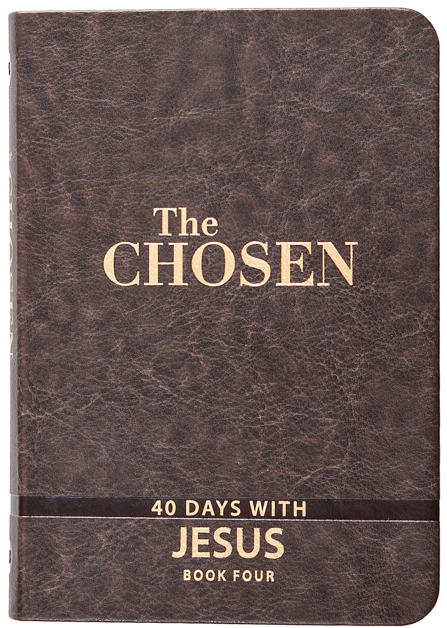 The Chosen Book Four: 40 Days With Jesus