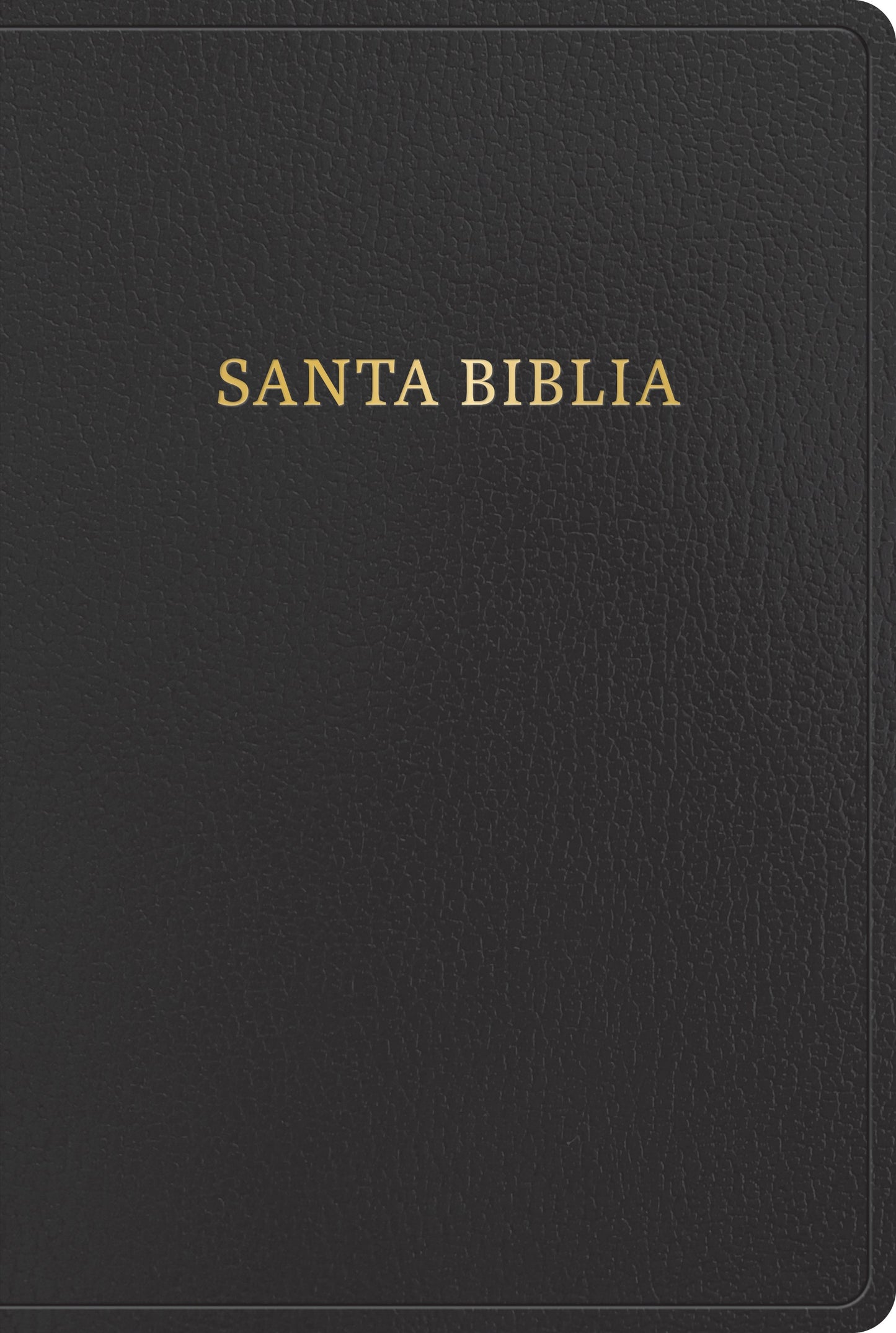 RVR 1960 Biblia Letra Gigante (Giant Print Bible)-Black Imitation Leather
