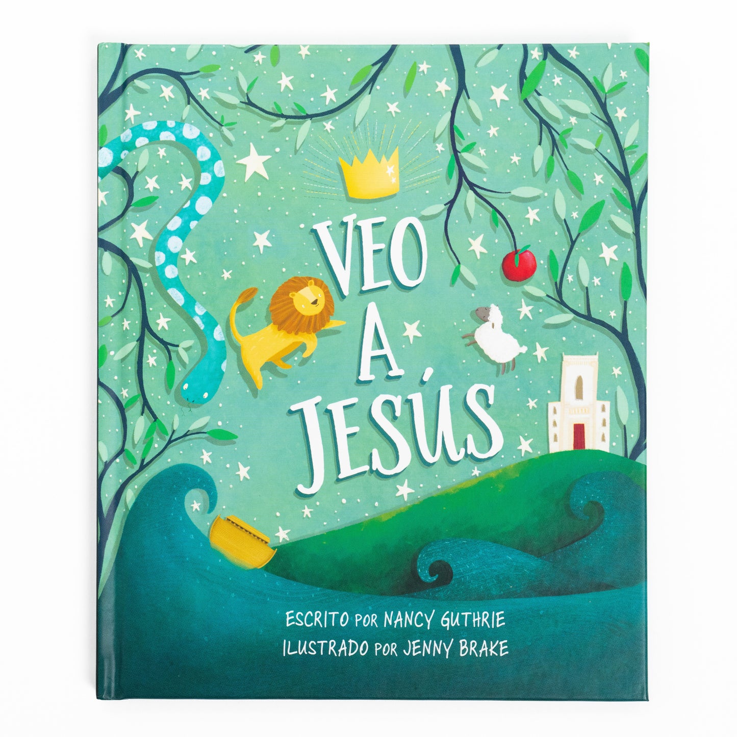 Veo a Jesus (I See Jesus)