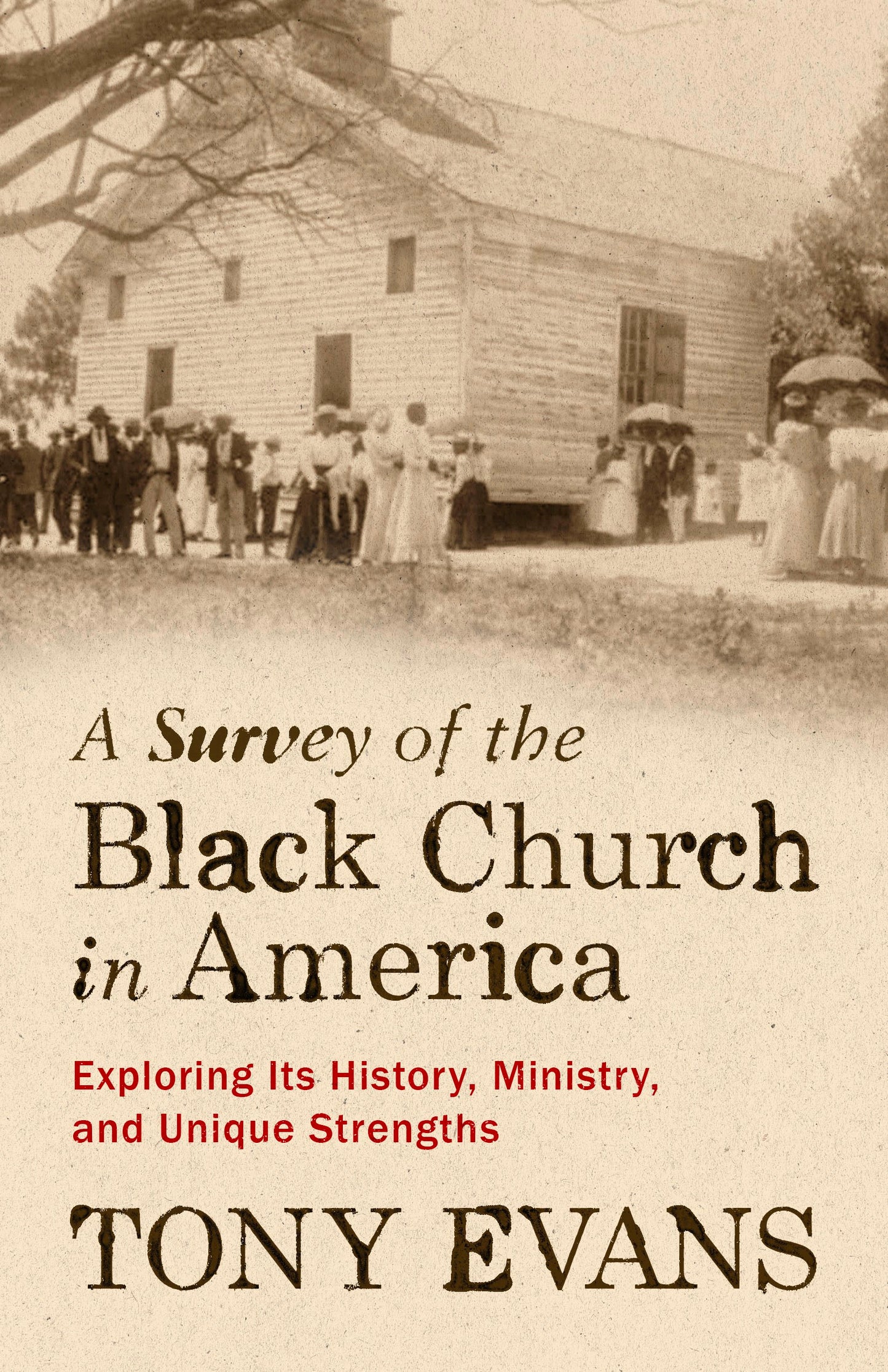 A Survey Of The Black Church In America